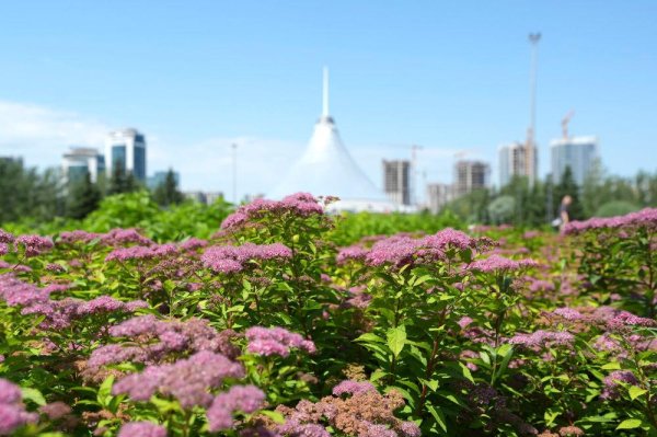 启恒配资 阿斯塔纳夏日