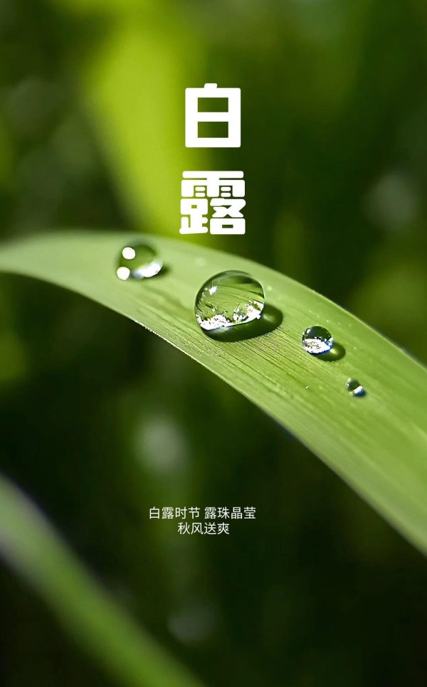 配资栈 白露节气，别忘了“吃三白”“喝三白”，天凉了，一定要懂如何养