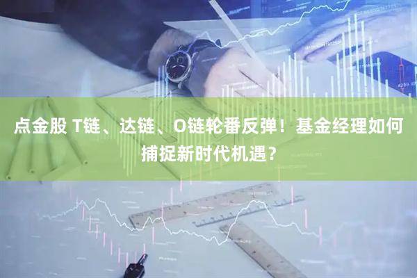 点金股 T链、达链、O链轮番反弹！基金经理如何捕捉新时代机遇？