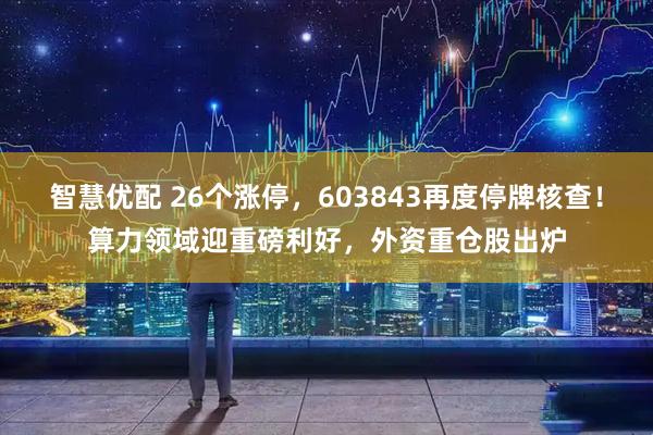 智慧优配 26个涨停，603843再度停牌核查！算力领域迎重磅利好，外资重仓股出炉